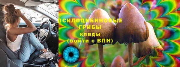 гидра Балабаново